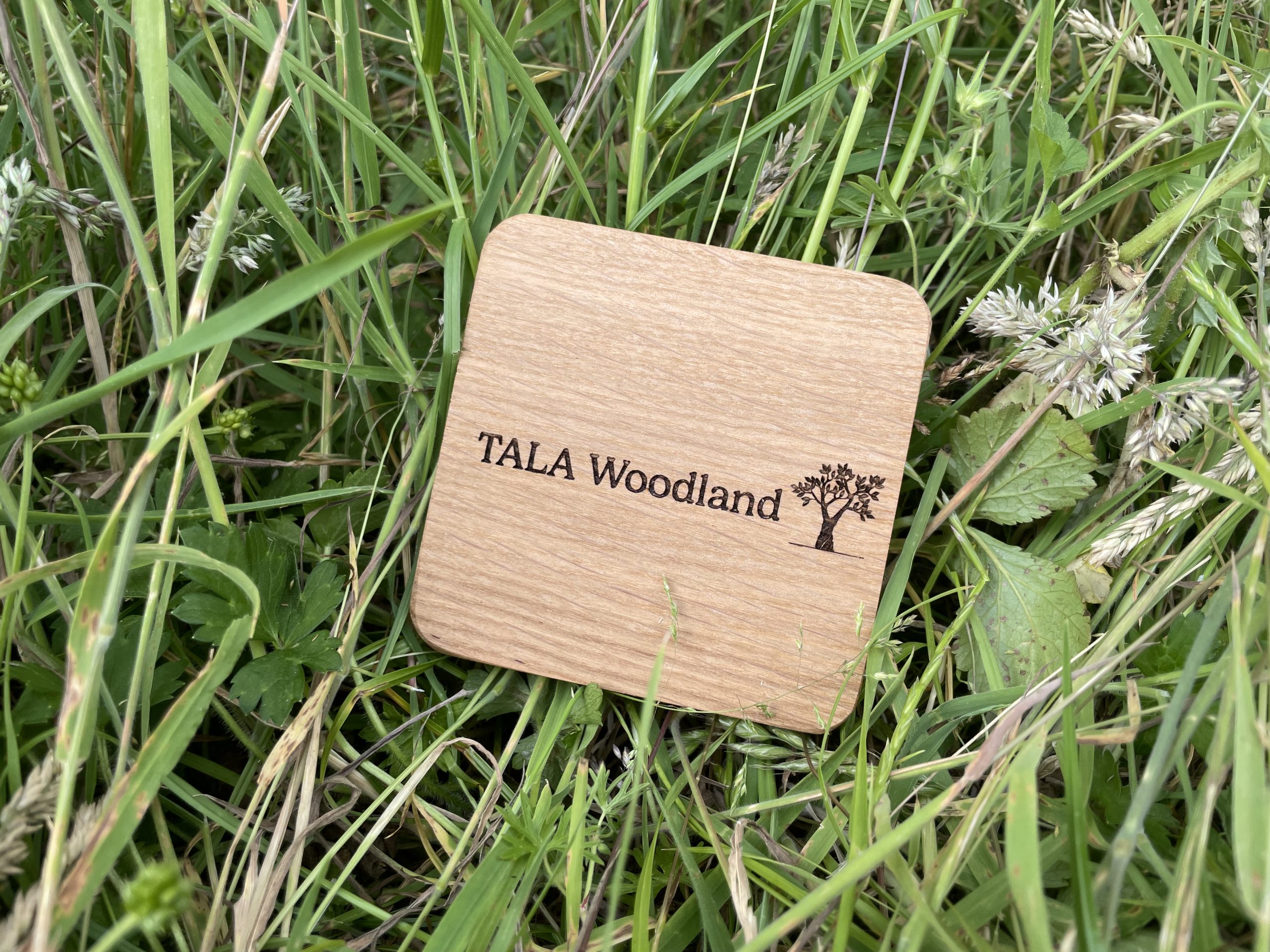 TALA woodland plaque