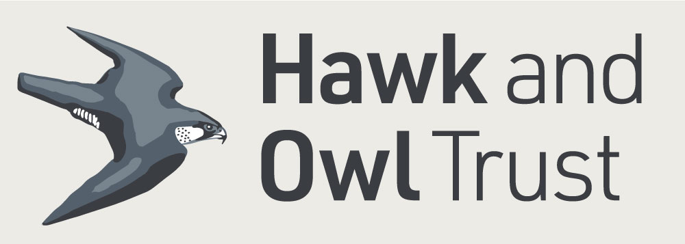 hawk and owl trust